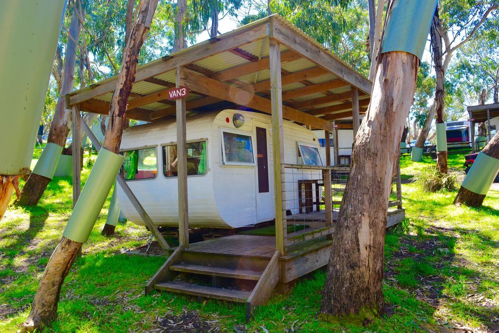 Bimbi Park - Camping Under Koalas Cabo Otway Exterior foto